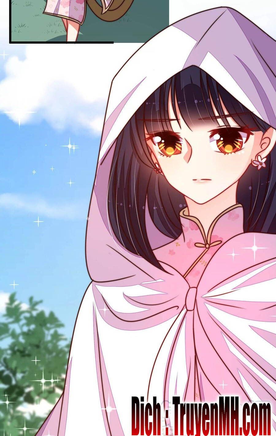 đọc truyện Ngày Nào Thiếu Soái Cũng Ghen Chương 501 ảnh 13 tại Thiên Thai Truyện