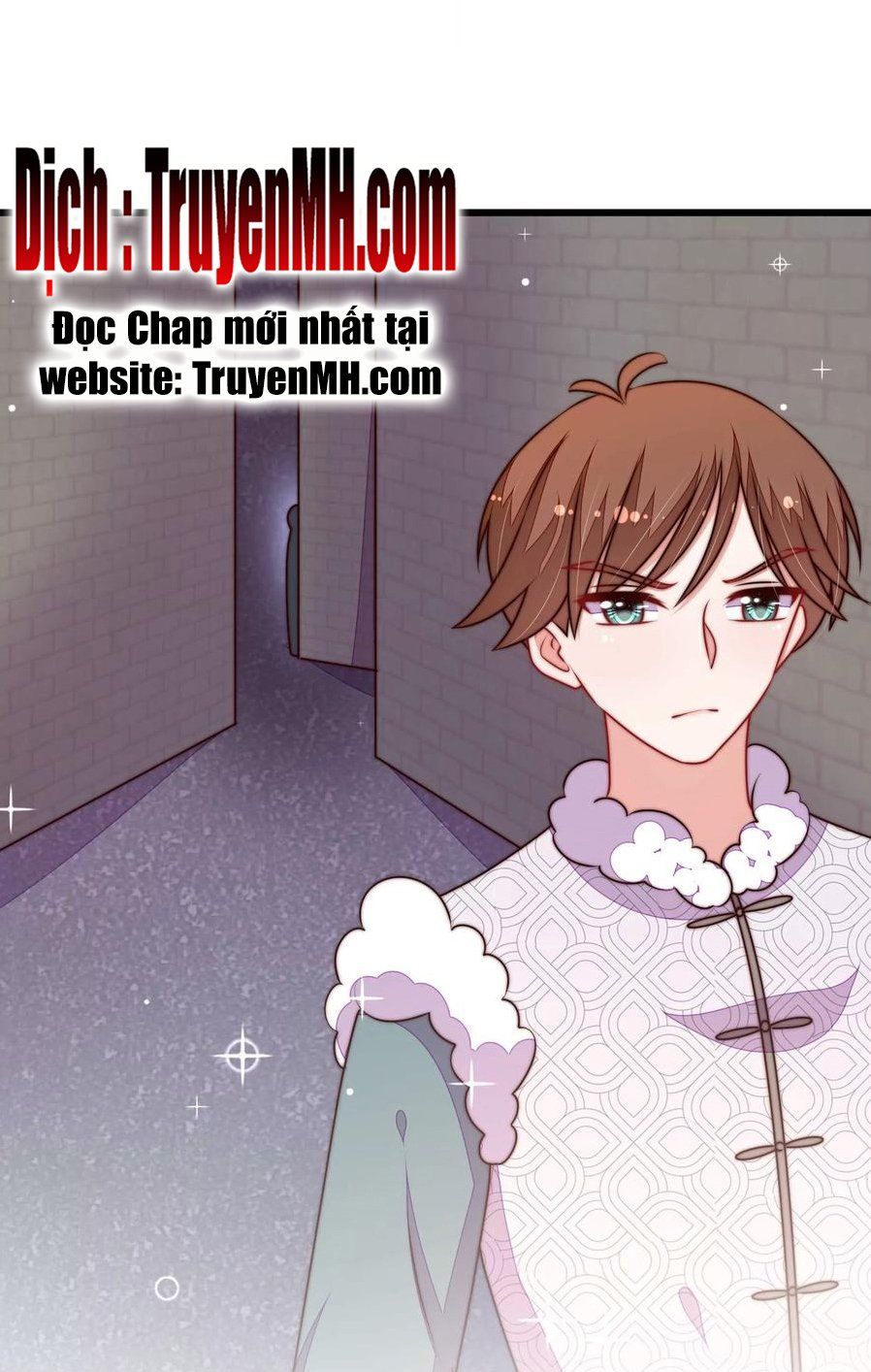 đọc truyện Ngày Nào Thiếu Soái Cũng Ghen Chương 565 ảnh 13 tại Thiên Thai Truyện