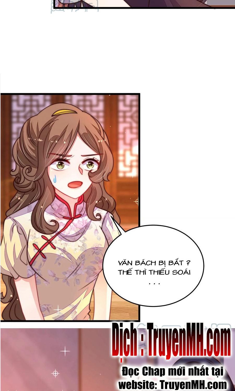 đọc truyện Ngày Nào Thiếu Soái Cũng Ghen Chương 572 ảnh 11 tại Thiên Thai Truyện