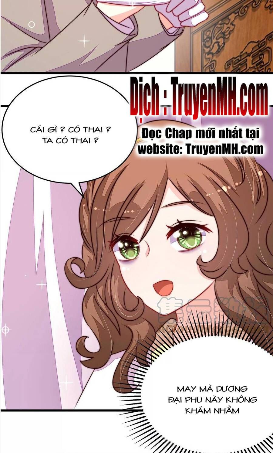 đọc truyện Ngày Nào Thiếu Soái Cũng Ghen Chương 593 ảnh 21 tại Thiên Thai Truyện