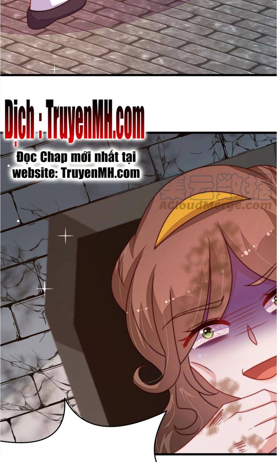 đọc truyện Ngày Nào Thiếu Soái Cũng Ghen Chương 600 ảnh 14 tại Thiên Thai Truyện