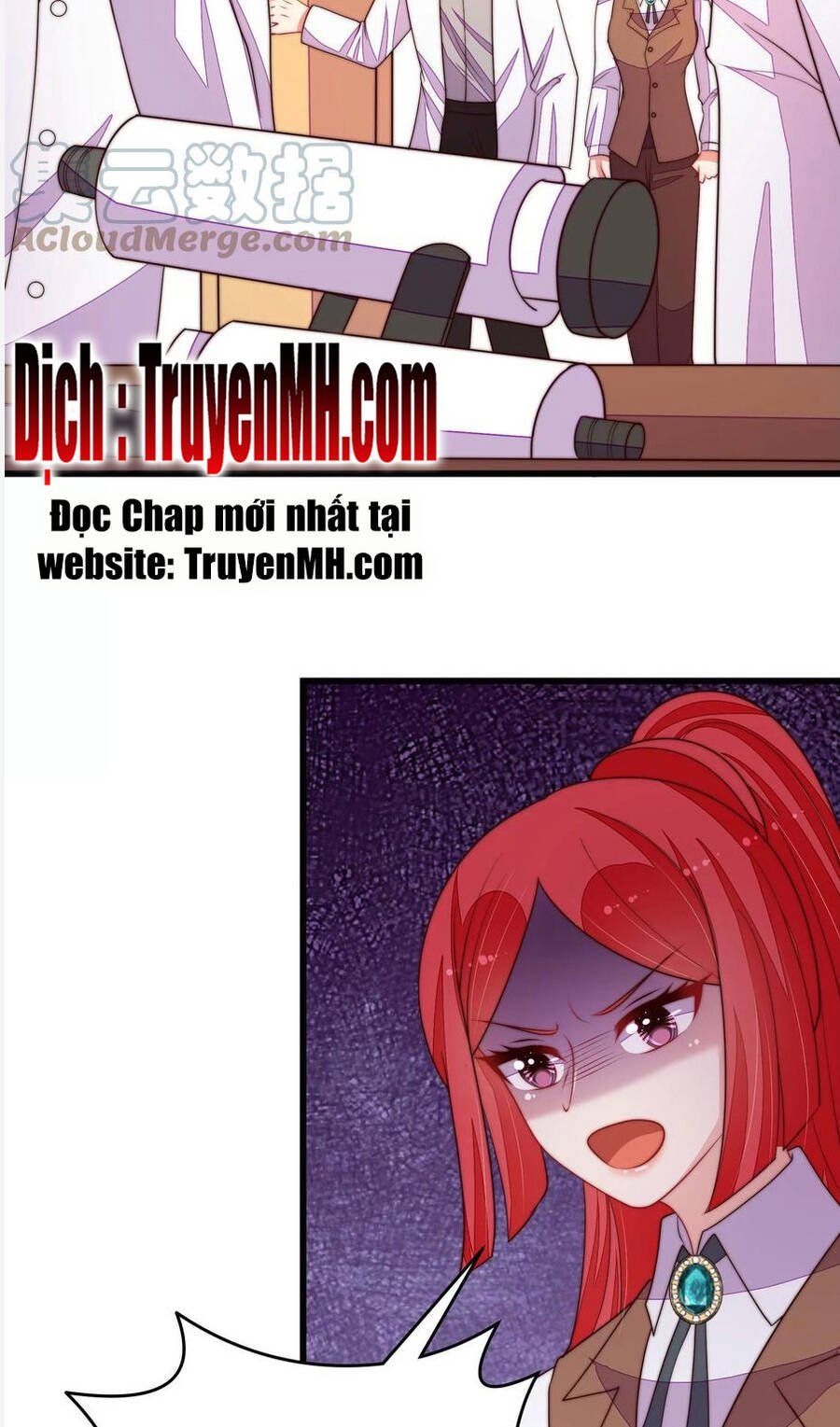 đọc truyện Ngày Nào Thiếu Soái Cũng Ghen Chương 625 ảnh 11 tại Thiên Thai Truyện