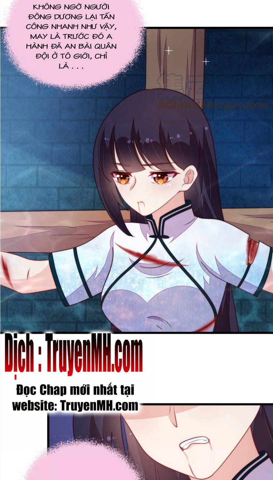 đọc truyện Ngày Nào Thiếu Soái Cũng Ghen Chương 634 ảnh 15 tại Thiên Thai Truyện