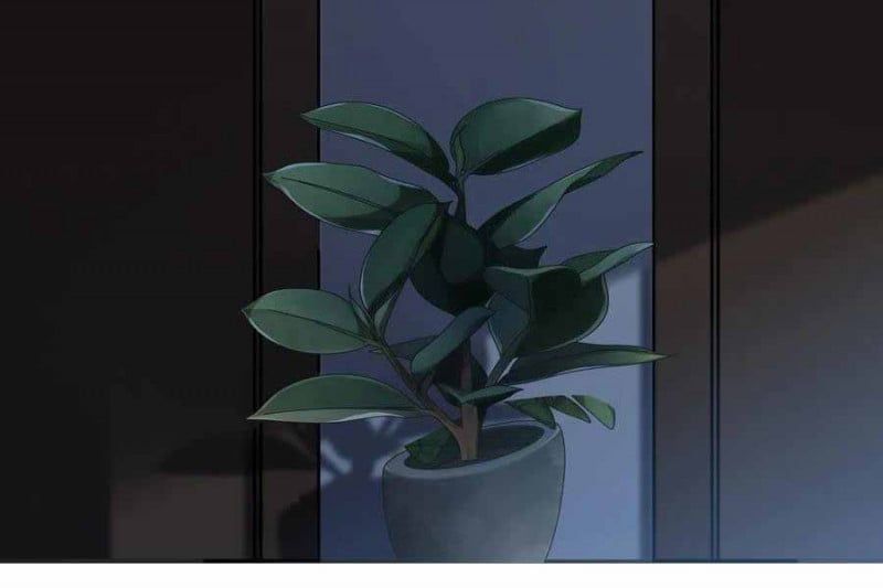 đọc truyện Nghịch Tập Chi Hảo Dựng Nhân Sinh Chương 206 ảnh 137 tại Thiên Thai Truyện