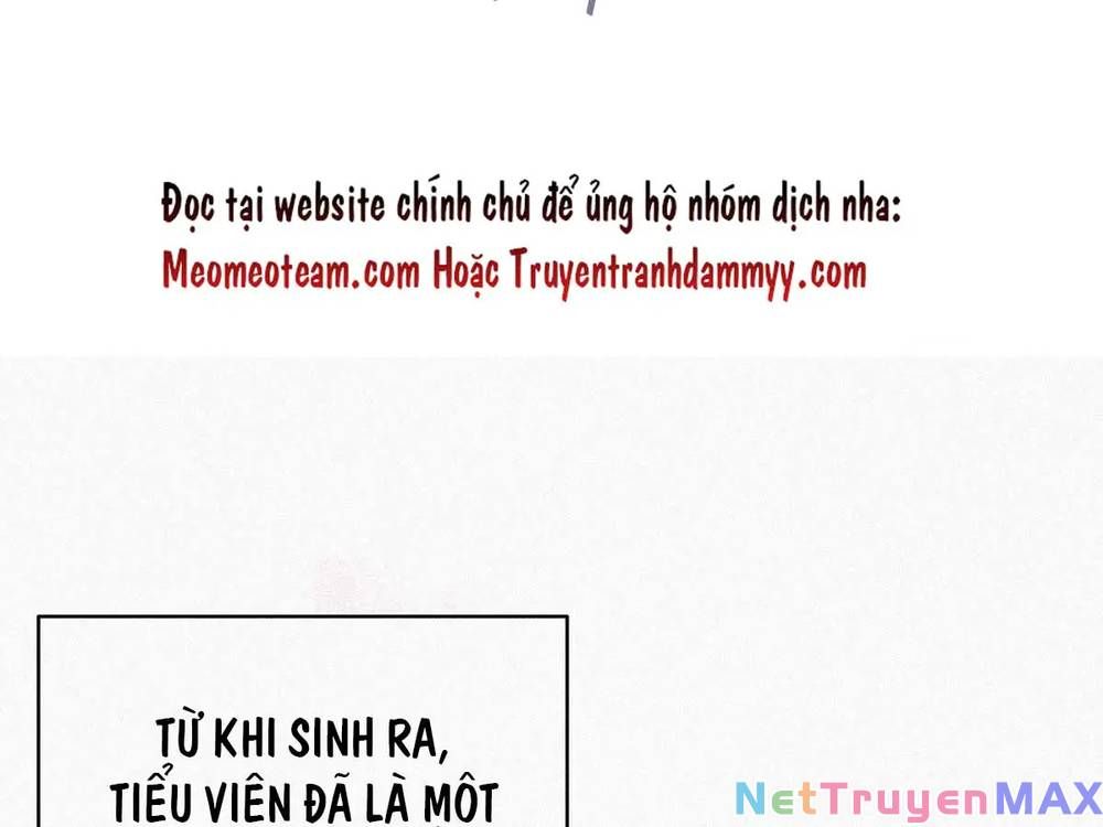 đọc truyện Nghịch Tập Chi Hảo Dựng Nhân Sinh Chương 266 ảnh 7 tại Thiên Thai Truyện