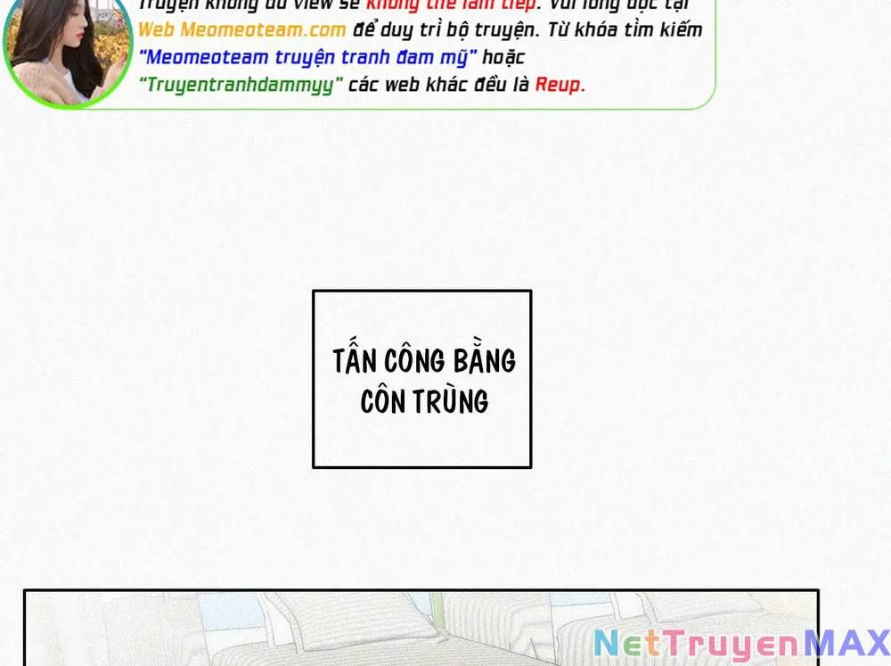 đọc truyện Nghịch Tập Chi Hảo Dựng Nhân Sinh Chương 273 ảnh 72 tại Thiên Thai Truyện