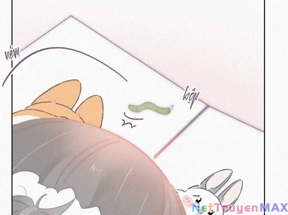 đọc truyện Nghịch Tập Chi Hảo Dựng Nhân Sinh Chương 273 ảnh 75 tại Thiên Thai Truyện