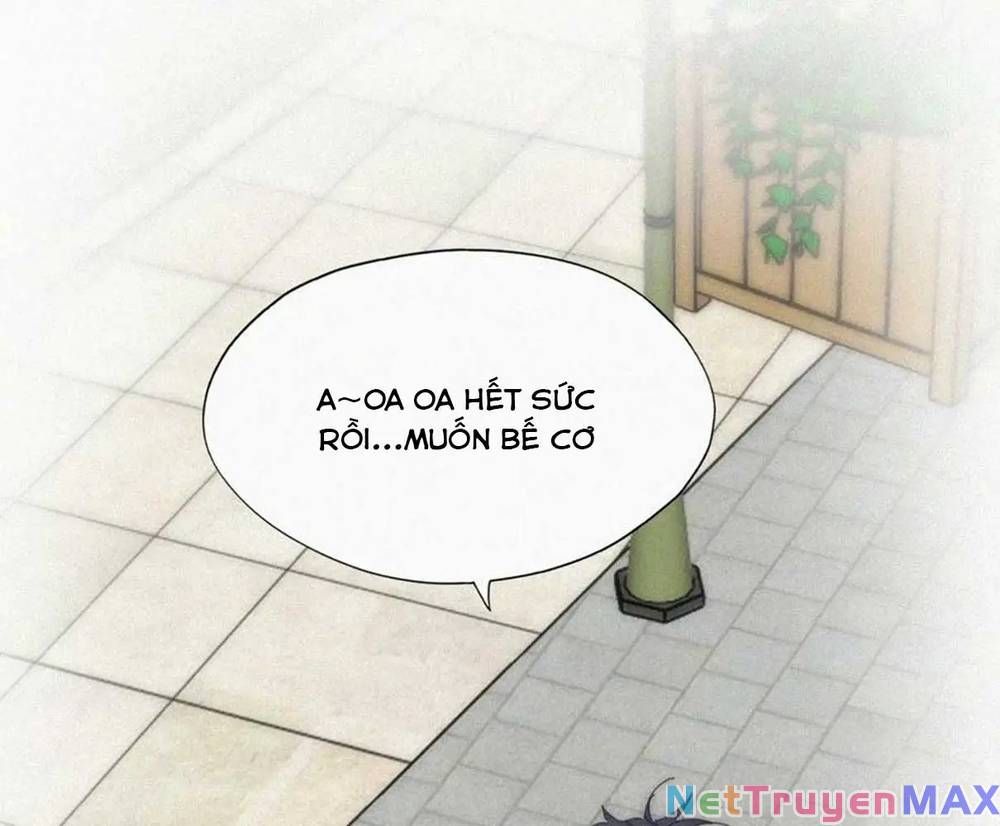 đọc truyện Nghịch Tập Chi Hảo Dựng Nhân Sinh Chương 282 ảnh 25 tại Thiên Thai Truyện