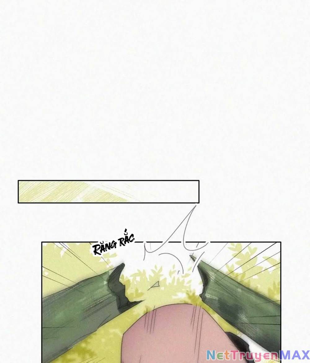 đọc truyện Nghịch Tập Chi Hảo Dựng Nhân Sinh Chương 304 ảnh 25 tại Thiên Thai Truyện