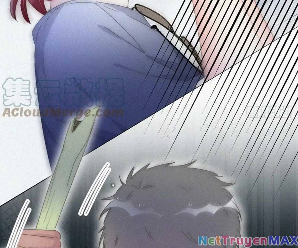 đọc truyện Nghịch Tập Chi Hảo Dựng Nhân Sinh Chương 308 ảnh 13 tại Thiên Thai Truyện