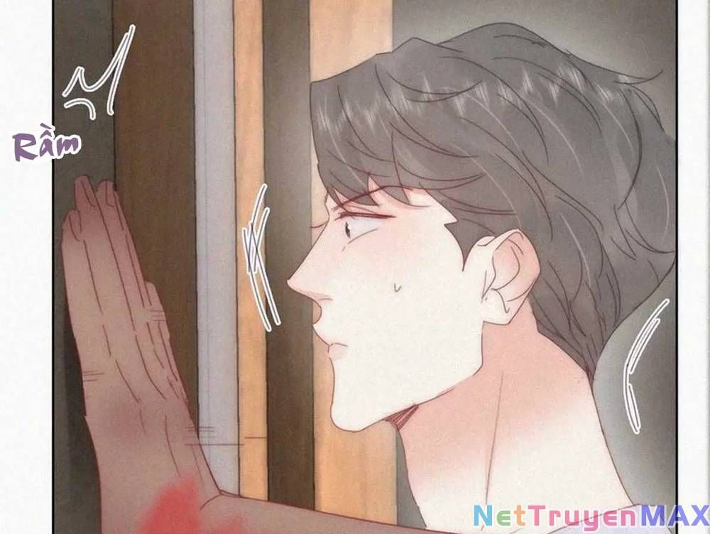 đọc truyện Nghịch Tập Chi Hảo Dựng Nhân Sinh Chương 336 ảnh 83 tại Thiên Thai Truyện