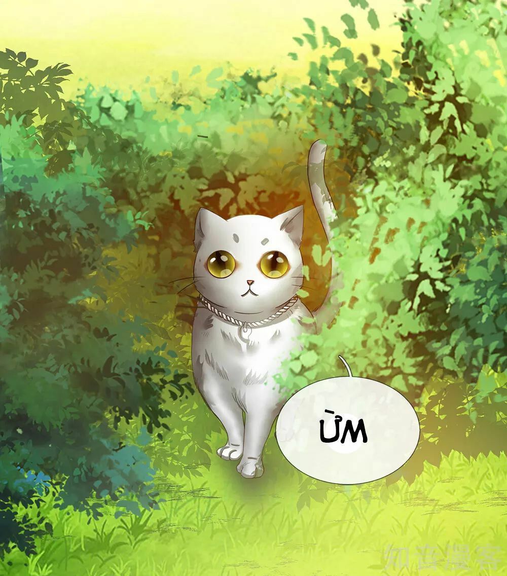 đọc truyện Nghịch Thiên Kiếm Thần Chương 76 ảnh 12 tại Thiên Thai Truyện