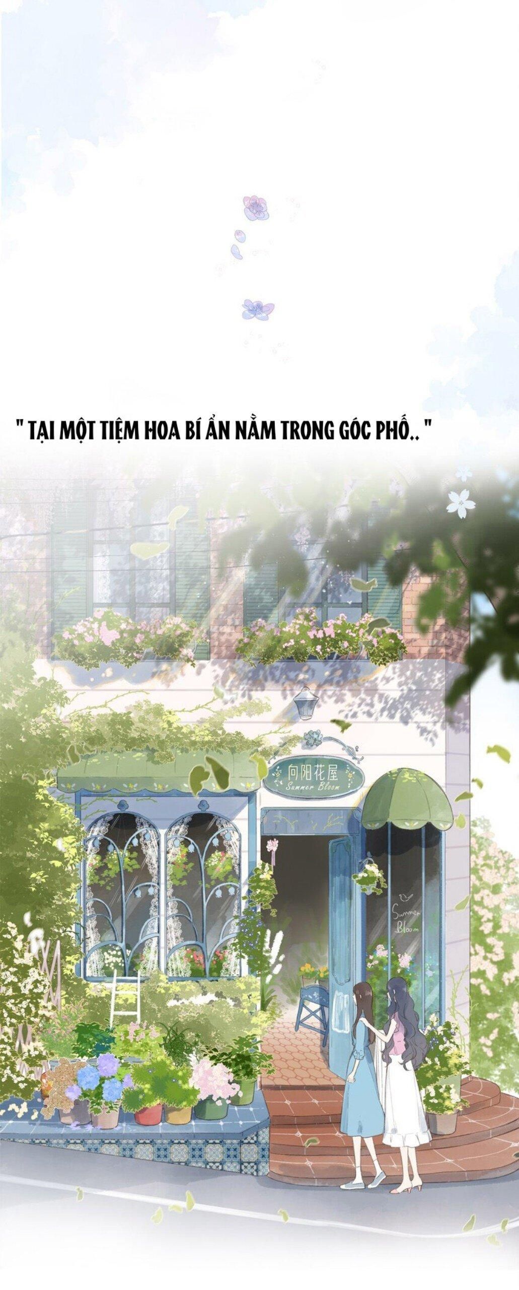 đọc truyện  Ngôi Nhà Hướng Dương Chương 0 ảnh 2 tại Giả Dược