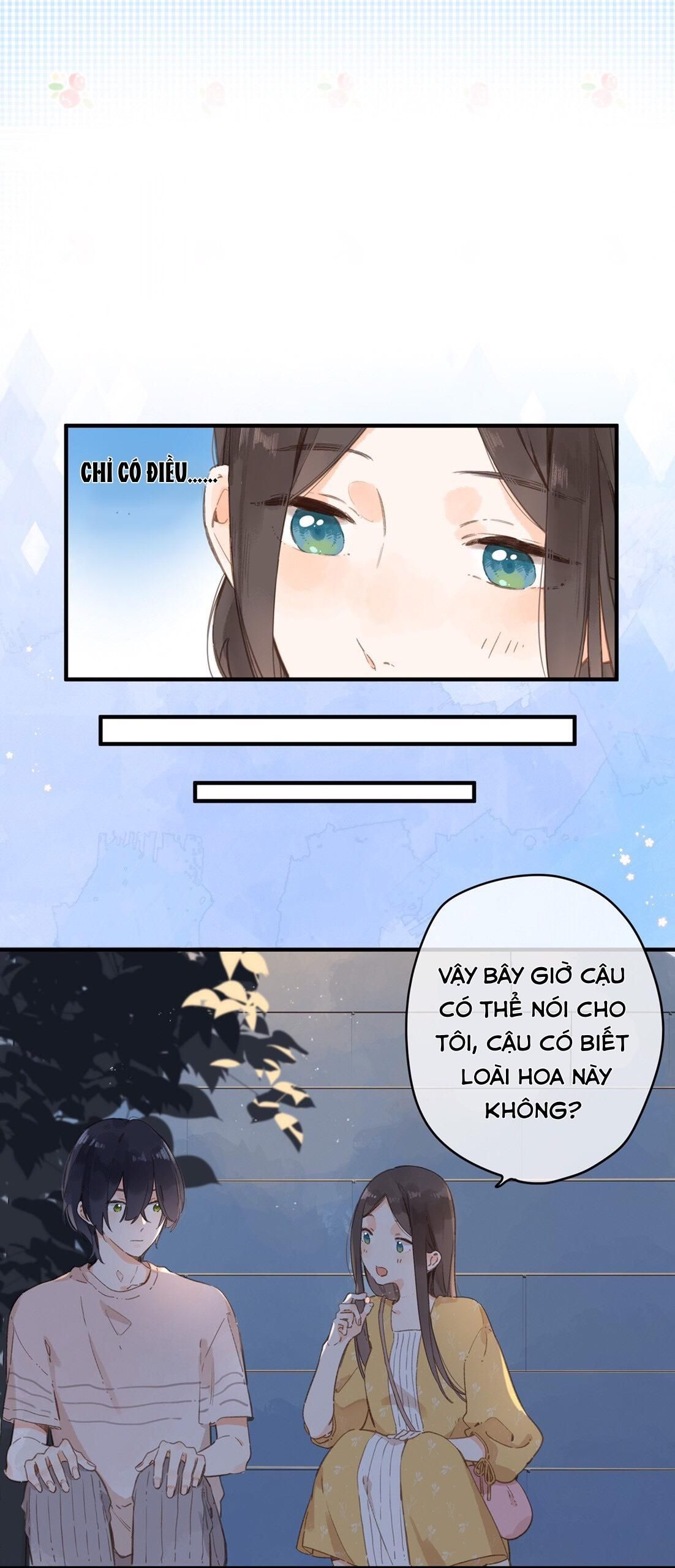 đọc truyện  Ngôi Nhà Hướng Dương Chương 13 ảnh 5 tại Thiên Thai Truyện