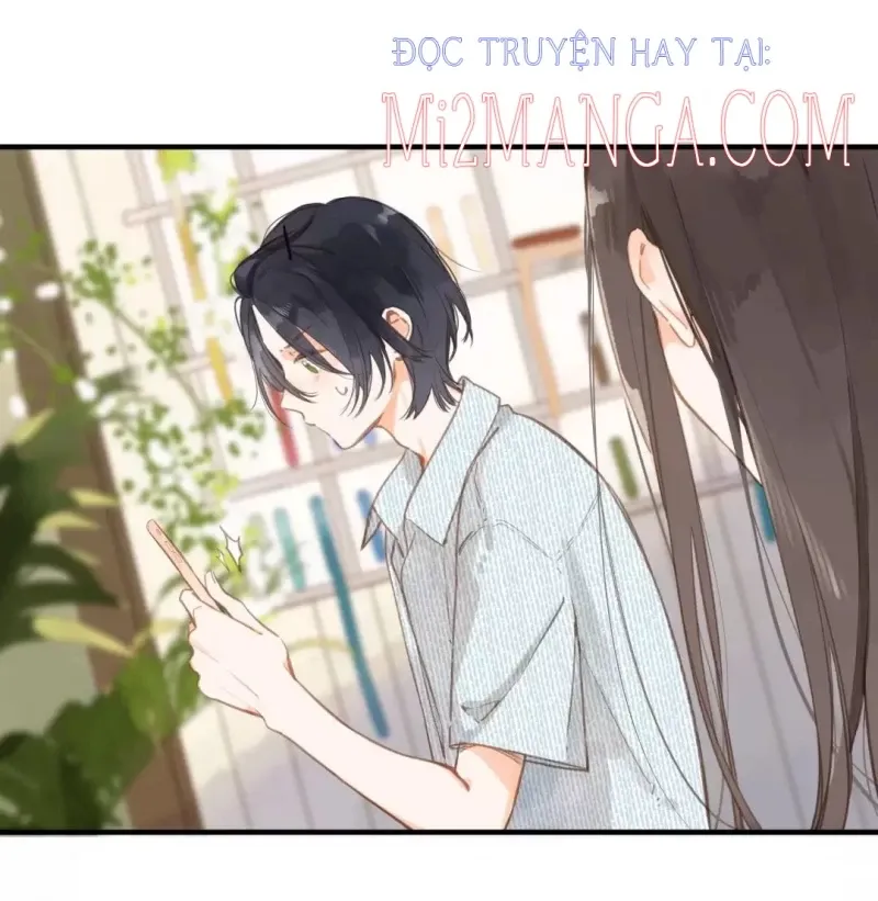 đọc truyện  Ngôi Nhà Hướng Dương Chương 16 ảnh 12 tại Giả Dược