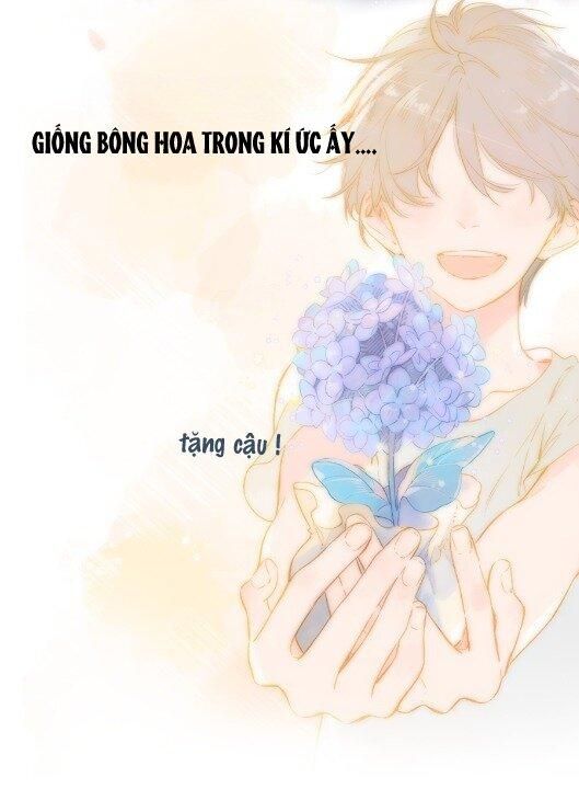 đọc truyện  Ngôi Nhà Hướng Dương Chương 2 ảnh 32 tại Thiên Thai Truyện