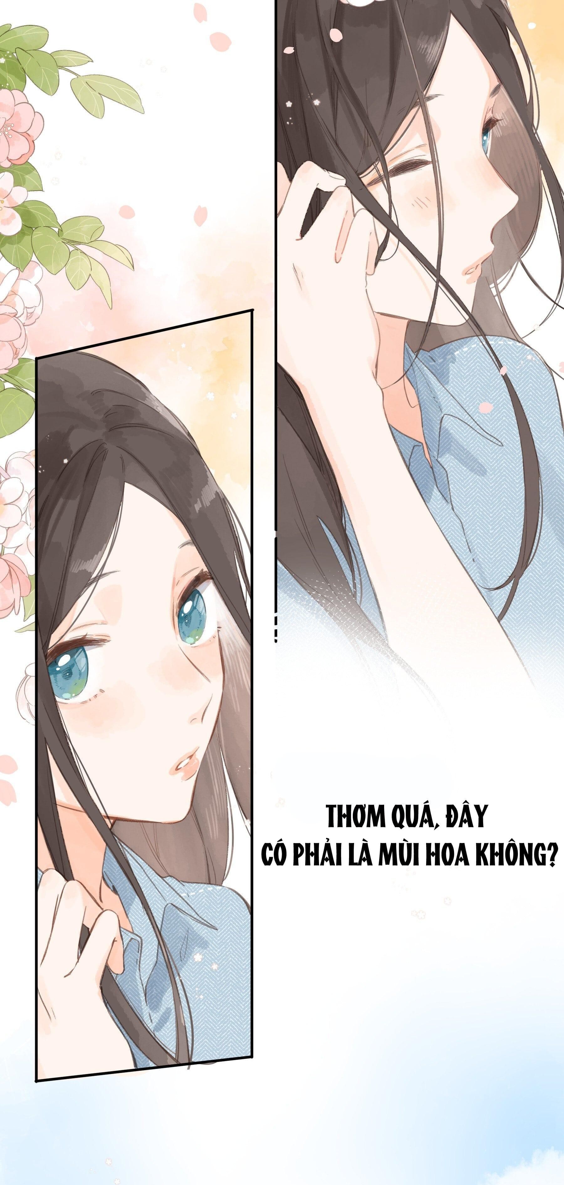 đọc truyện  Ngôi Nhà Hướng Dương Chương 2 ảnh 9 tại Thiên Thai Truyện