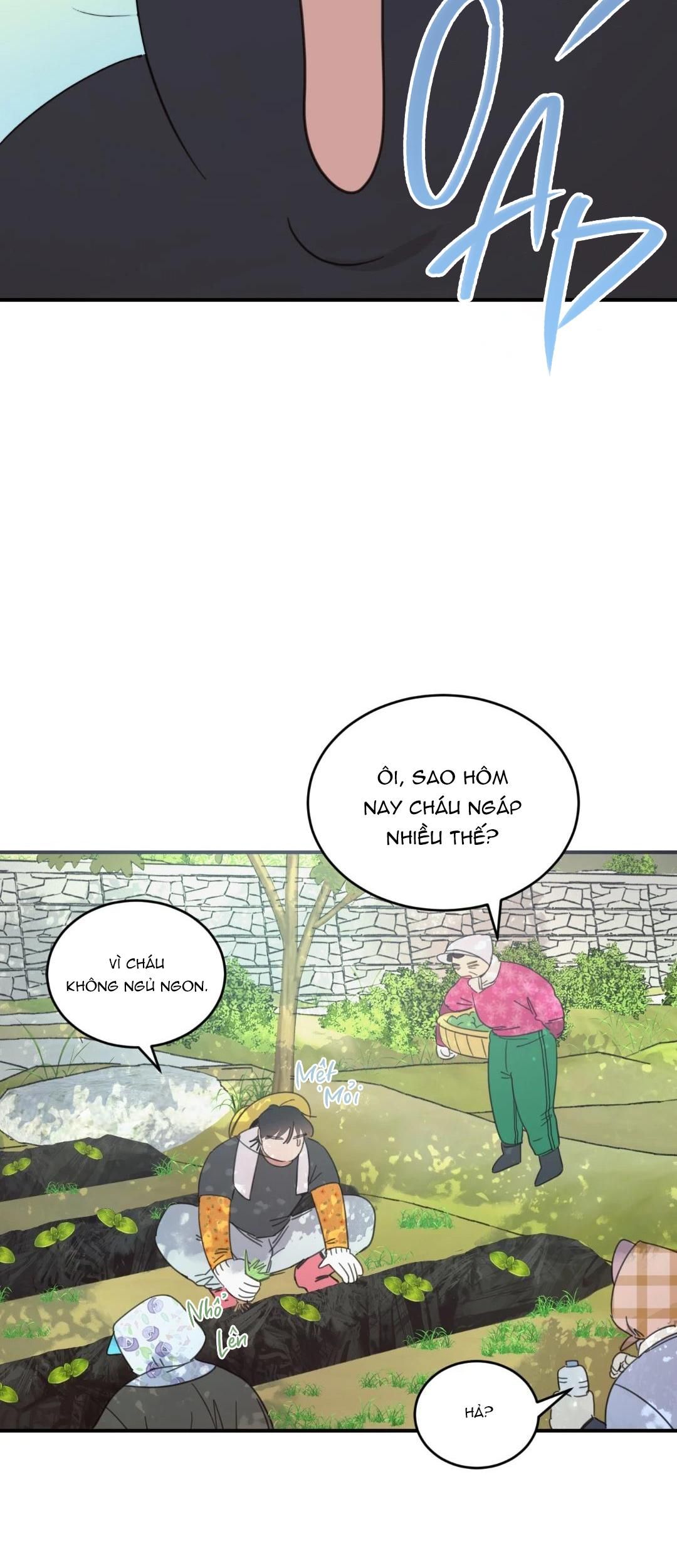 đọc truyện Ngôi Nhà Hướng Mặt Trời Mọc Chương 25 ảnh 15 tại Thiên Thai Truyện