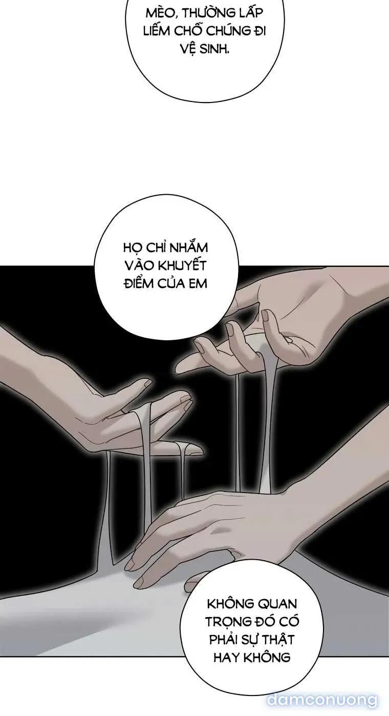 đọc truyện Ngọn Gió Mùa Xuân Chương 6.2 ảnh 7 tại Thiên Thai Truyện