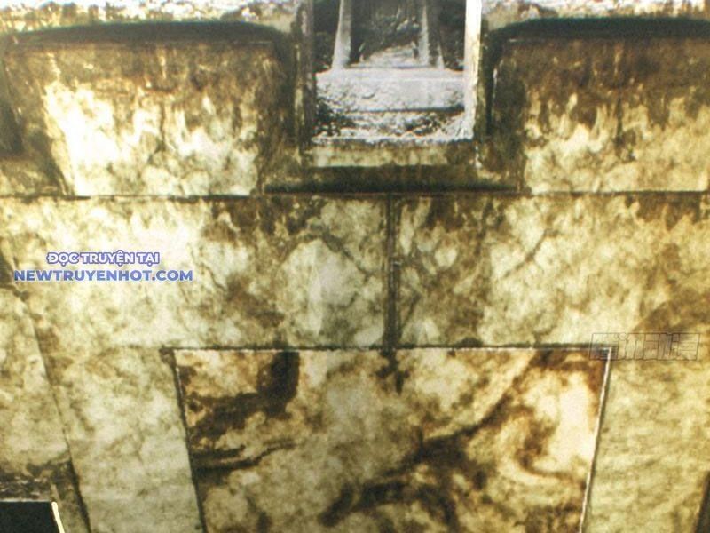 đọc truyện Ngủ Say Vạn Cổ: Xuất Thế Quét Ngang Chư Thiên Chương 1 ảnh 5 tại Thiên Thai Truyện