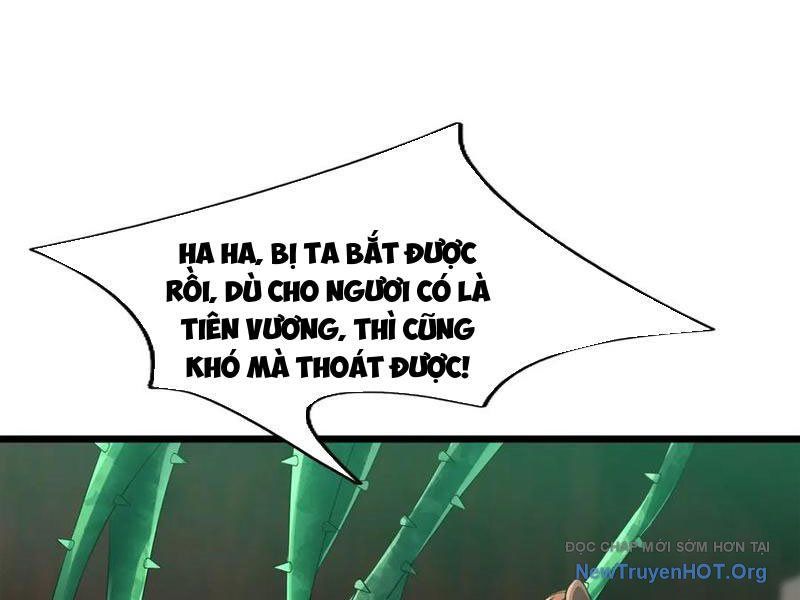 đọc truyện Ngủ Say Vạn Cổ: Xuất Thế Quét Ngang Chư Thiên Chương 114 ảnh 44 tại Thiên Thai Truyện