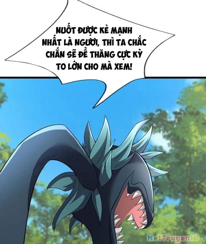 đọc truyện Ngủ Say Vạn Cổ: Xuất Thế Quét Ngang Chư Thiên Chương 93 ảnh 24 tại Thiên Thai Truyện