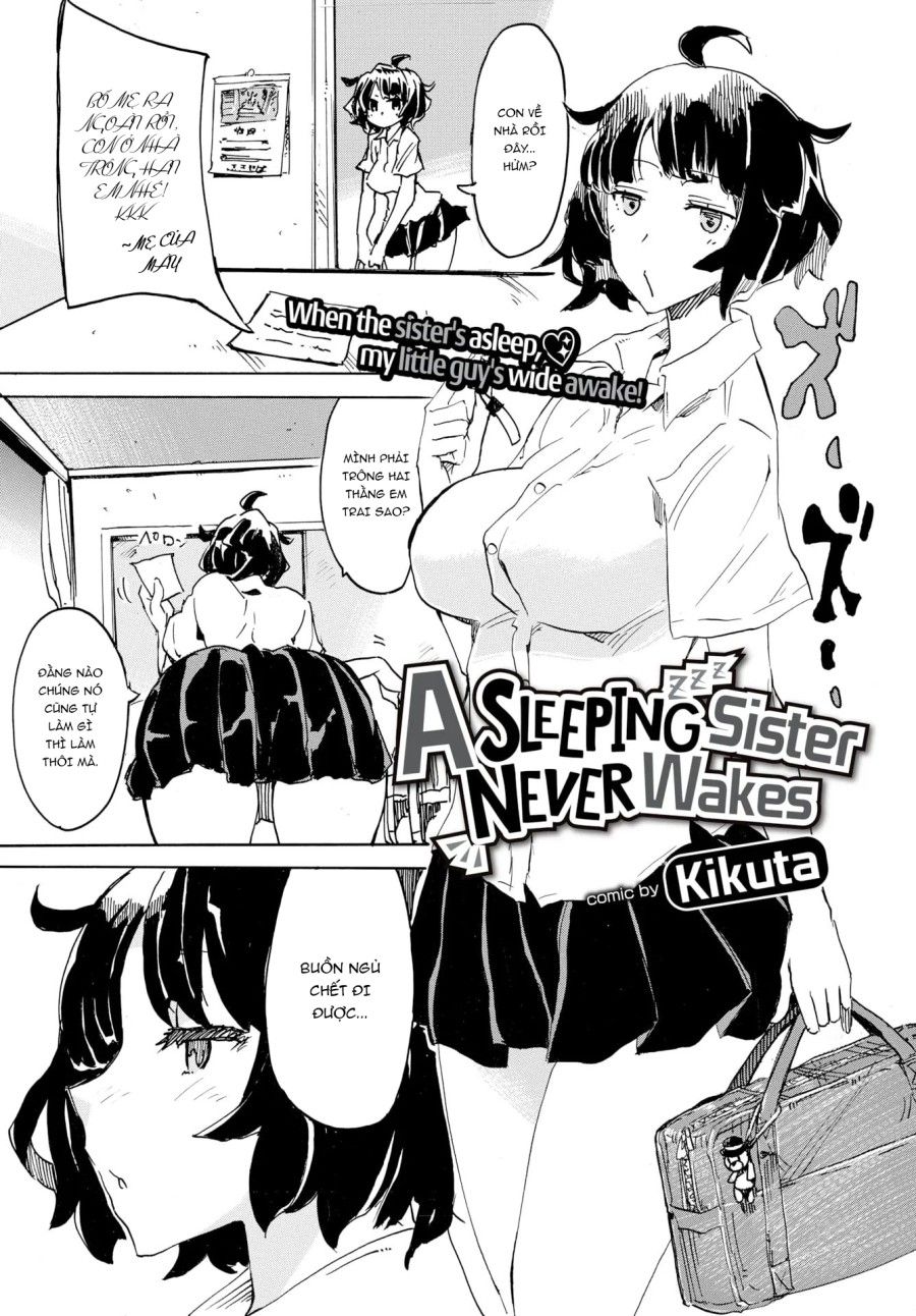Người Chị Mà Đã Ngủ Thì Sẽ Chẳng Bao Giờ Dậy Đâu Oneshot page 6 - Giả Dược