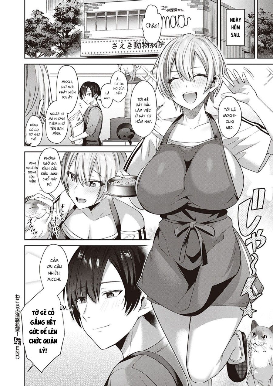 đọc truyện Người Chơi Hệ Mèo! Oneshot ảnh 25 tại Thiên Thai Truyện