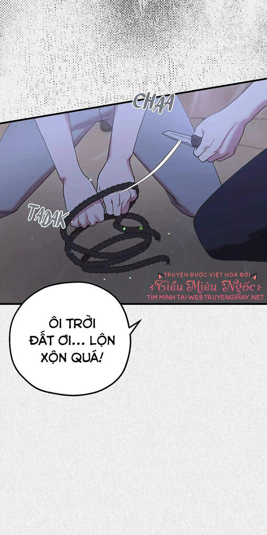 đọc truyện Người Chồng Thứ Hai Của Tôi Chương 41.1 ảnh 17 tại Thiên Thai Truyện