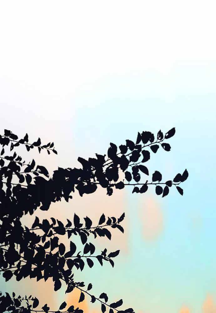 đọc truyện Người Đàn Ông Thực Thụ Chương 86 ảnh 102 tại Thiên Thai Truyện