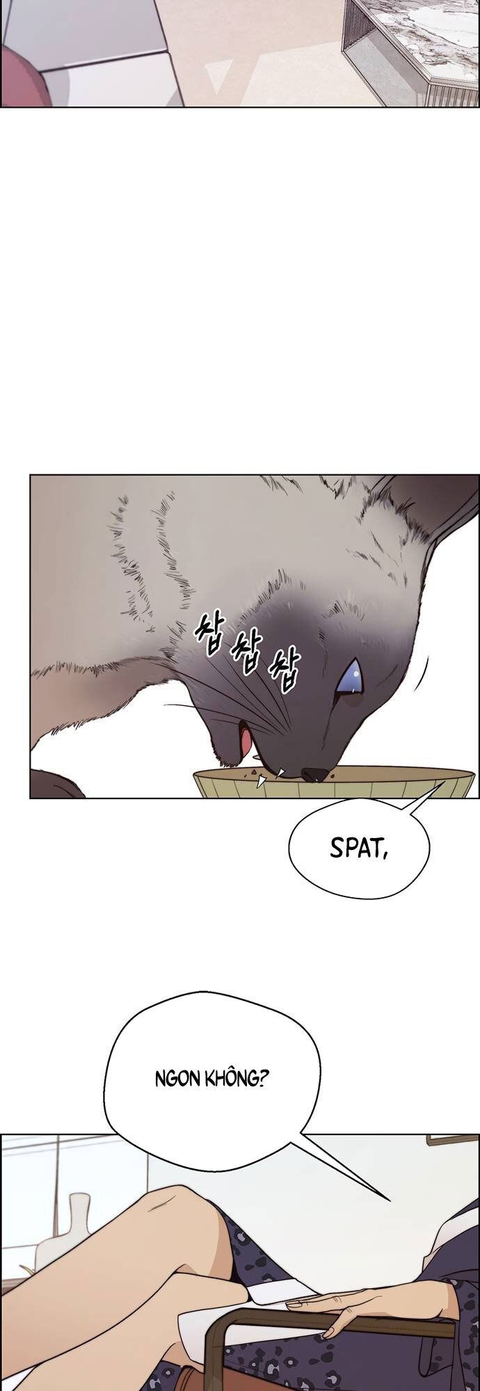 đọc truyện Người Đàn Ông Thực Thụ Chương 90 ảnh 49 tại Thiên Thai Truyện