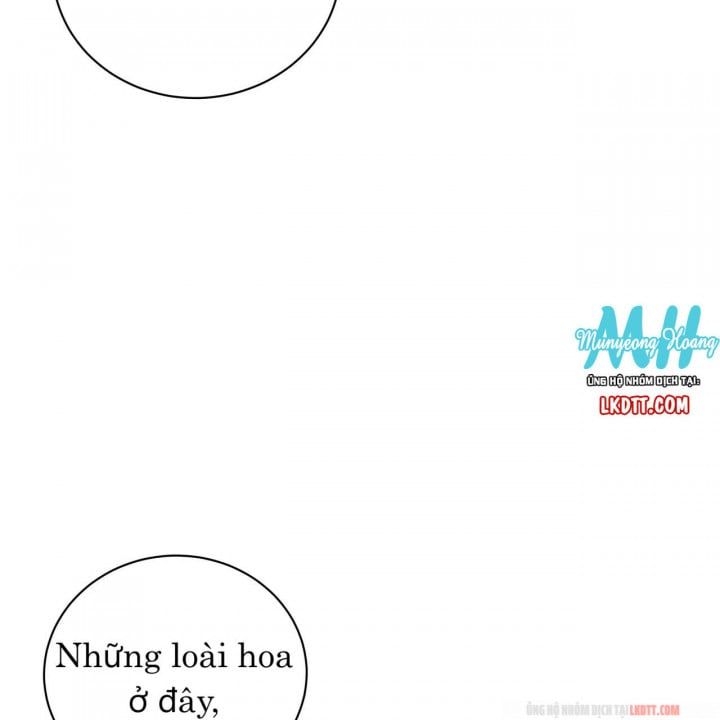 đọc truyện Người Đẹp Hay Quái Vật Chương 20.2 ảnh 42 tại Thiên Thai Truyện