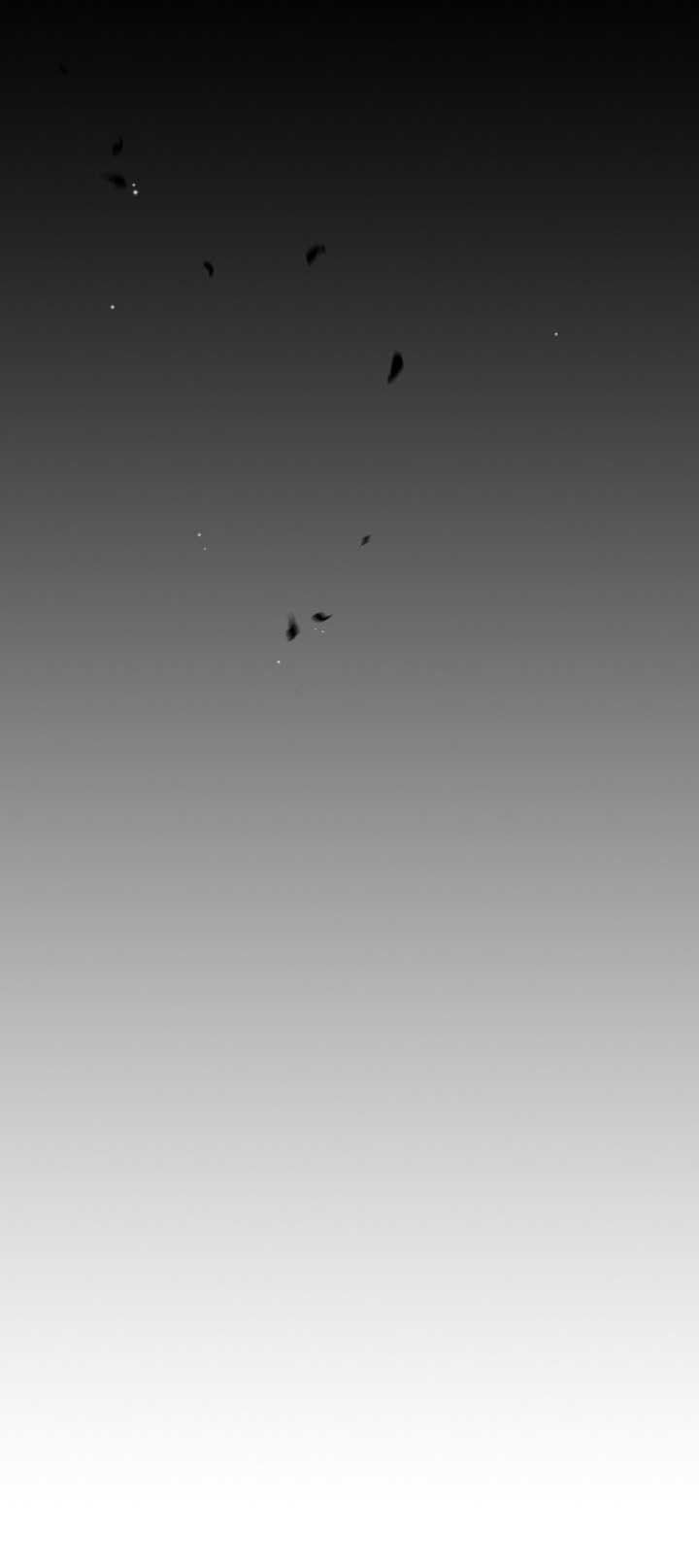 đọc truyện Người Đẹp Và Quái Vật Chương 134.1 ảnh 23 tại Thiên Thai Truyện