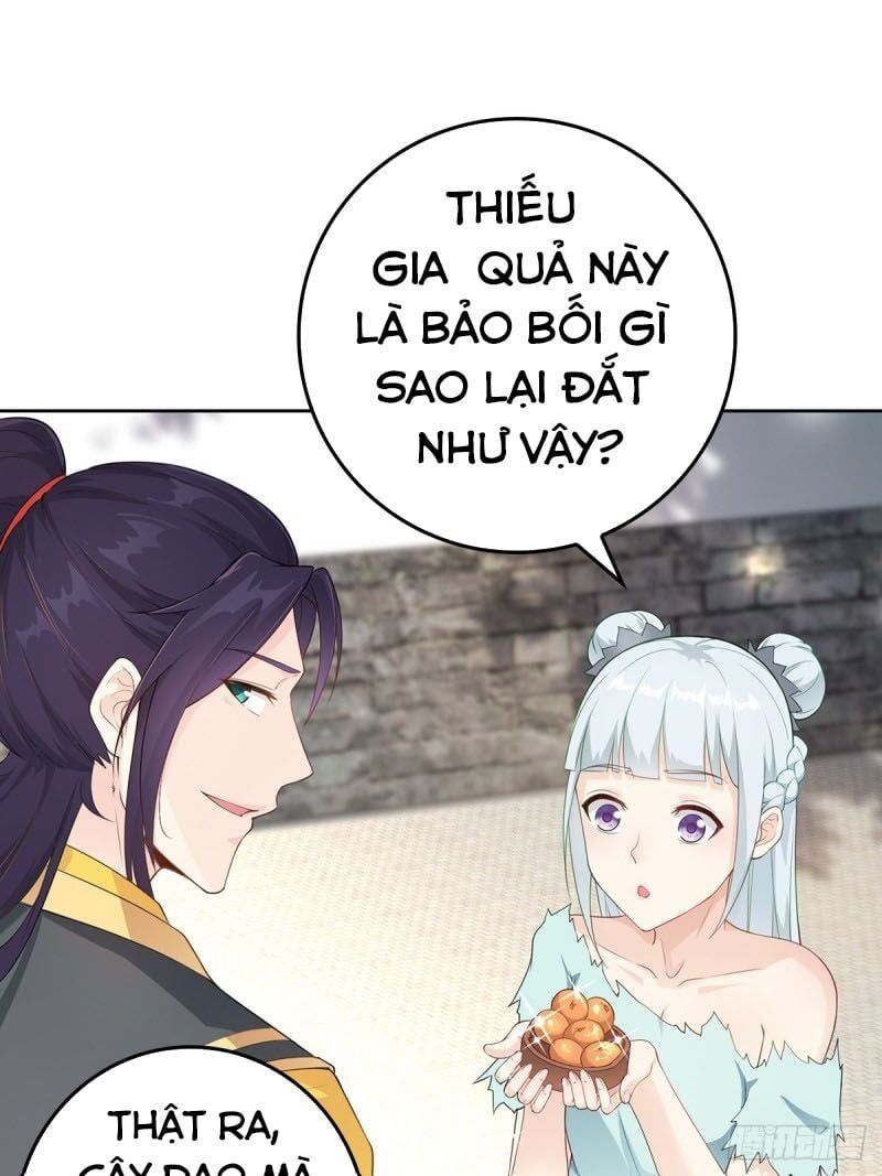 đọc truyện Người Ở Rể Bị Ép Thành Phản Diện Chương 11 ảnh 7 tại Thiên Thai Truyện