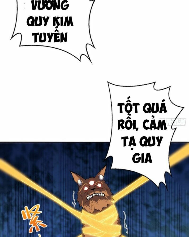 đọc truyện Người Ở Rể Bị Ép Thành Phản Diện Chương 22 ảnh 33 tại Thiên Thai Truyện