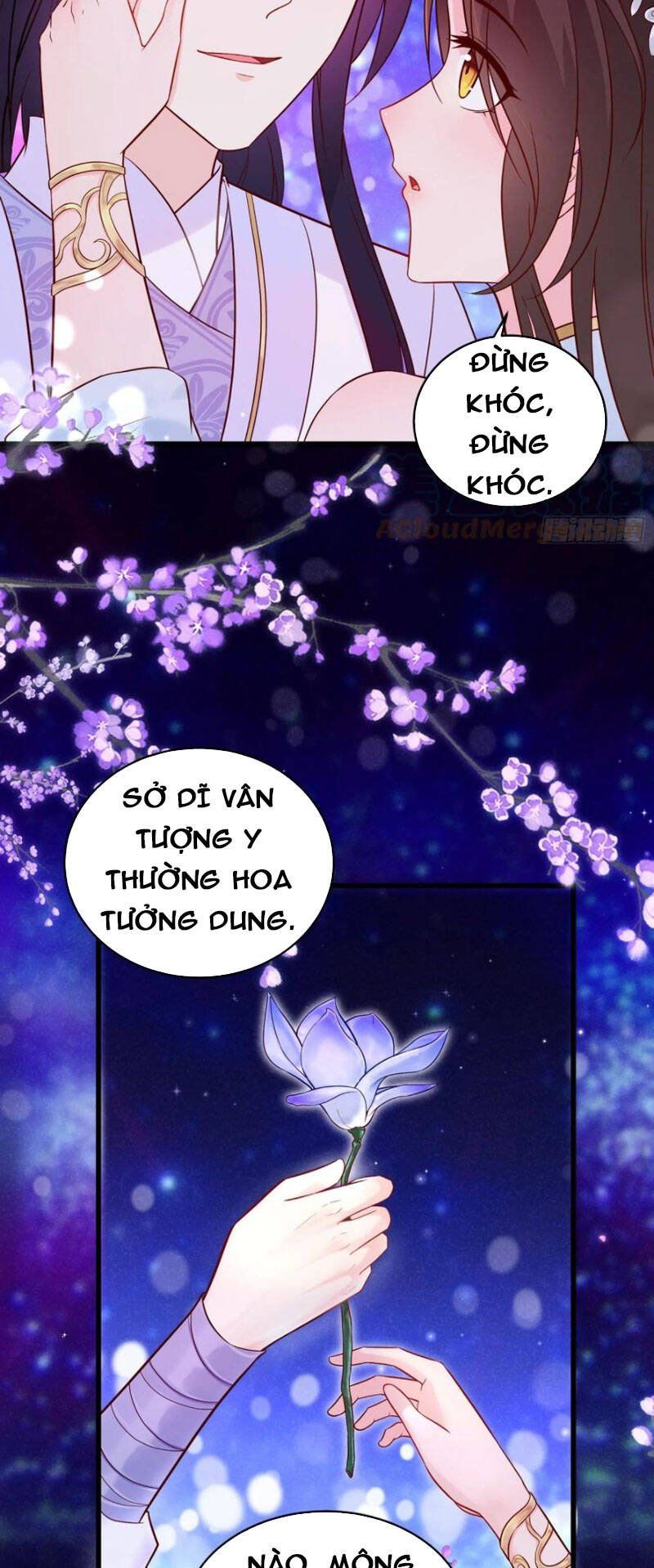 đọc truyện Người Ở Rể Bị Ép Thành Phản Diện Chương 238 ảnh 15 tại Truyện Dạ Ký