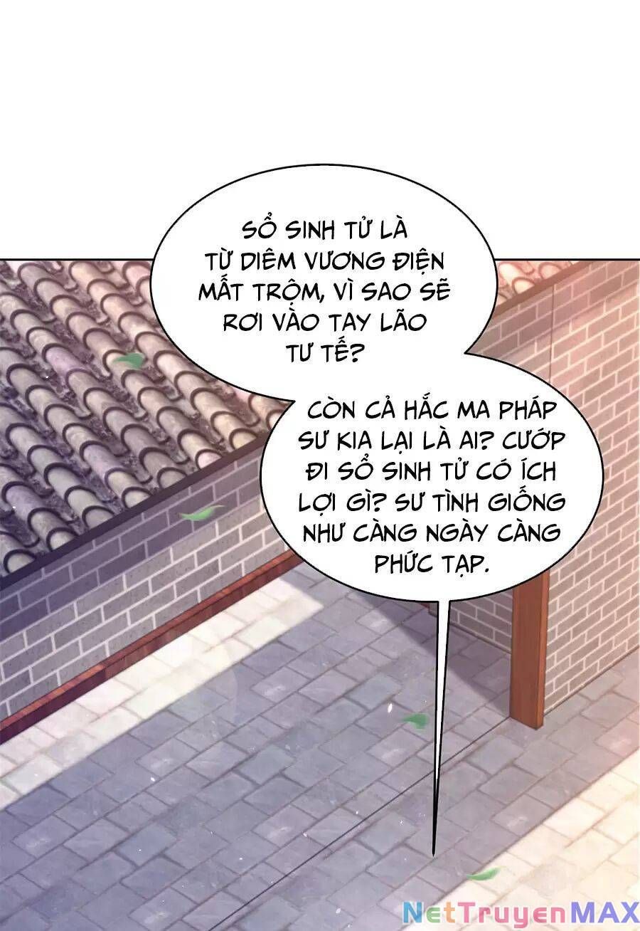 đọc truyện Người Ở Rể Bị Ép Thành Phản Diện Chương 475 ảnh 36 tại Thiên Thai Truyện