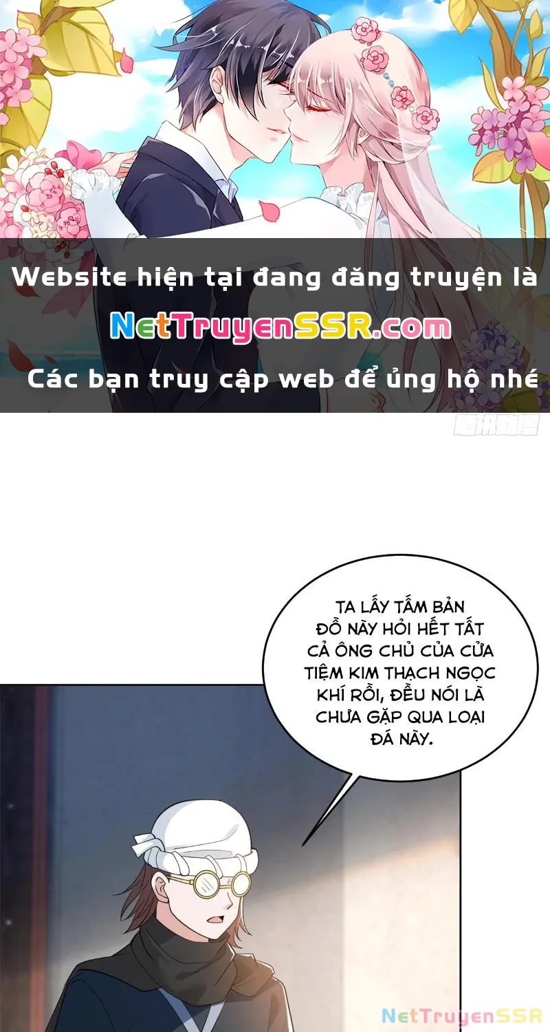 đọc truyện Người Ở Rể Bị Ép Thành Phản Diện Chương 538 ảnh 2 tại Thiên Thai Truyện