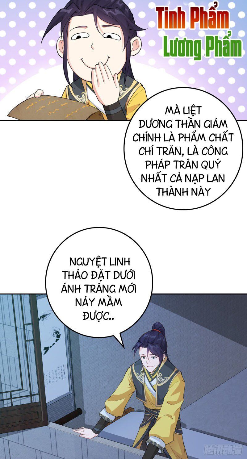đọc truyện Người Ở Rể Bị Ép Thành Phản Diện Chương 6 ảnh 4 tại Thiên Thai Truyện