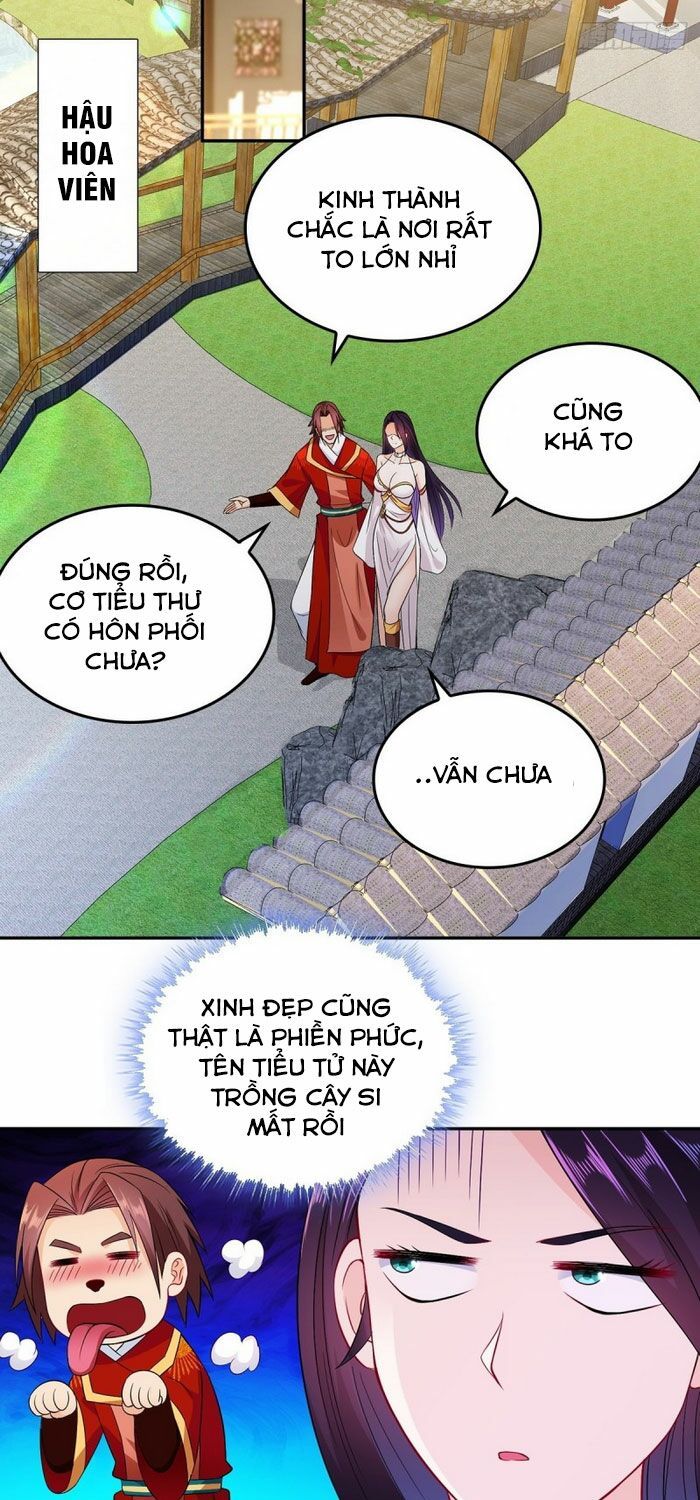 đọc truyện Người Ở Rể Bị Ép Thành Phản Diện Chương 76 ảnh 13 tại Thiên Thai Truyện