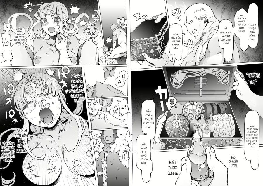 đọc truyện Người Sẽ Trở Thành Vua Kỷ Lục Huấn Luyện Công Chúa Vua Chương 1 ảnh 16 tại Thiên Thai Truyện