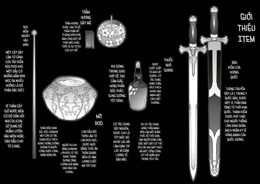 đọc truyện Người Sẽ Trở Thành Vua Kỷ Lục Huấn Luyện Công Chúa Vua Chương 2 ảnh 13 tại Thiên Thai Truyện