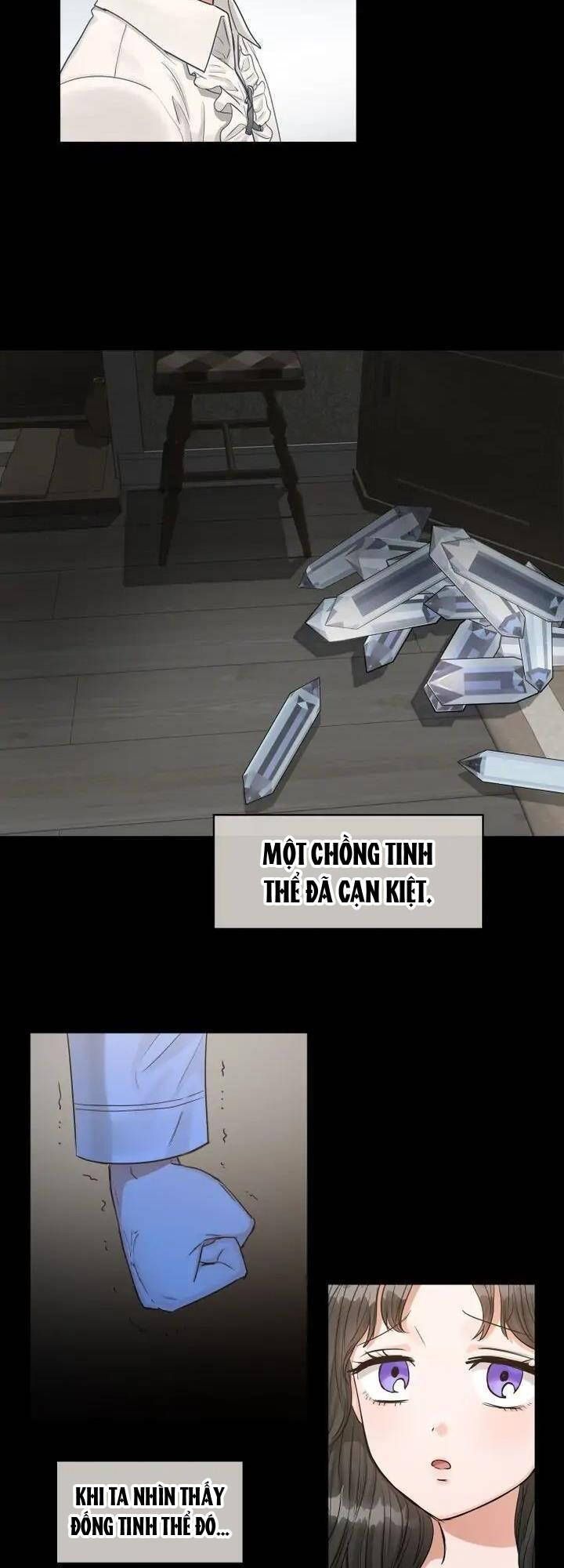 đọc truyện Người Thừa Kế Chương 20 ảnh 35 tại Truyện Dạ Ký