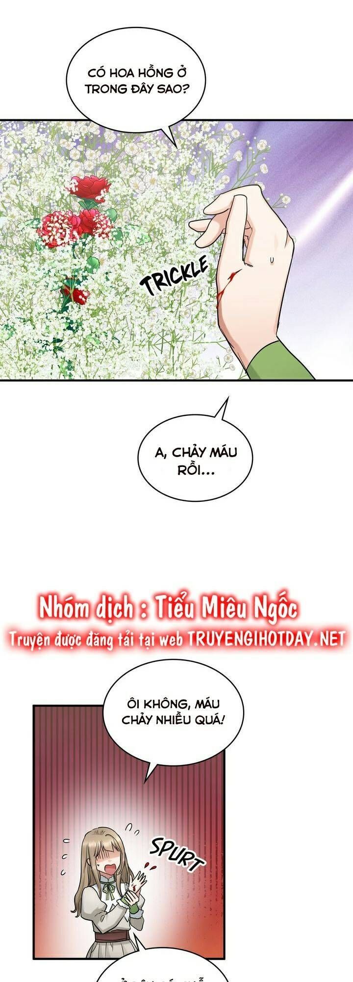 đọc truyện Người Thừa Kế Chương 60 ảnh 13 tại Thiên Thai Truyện