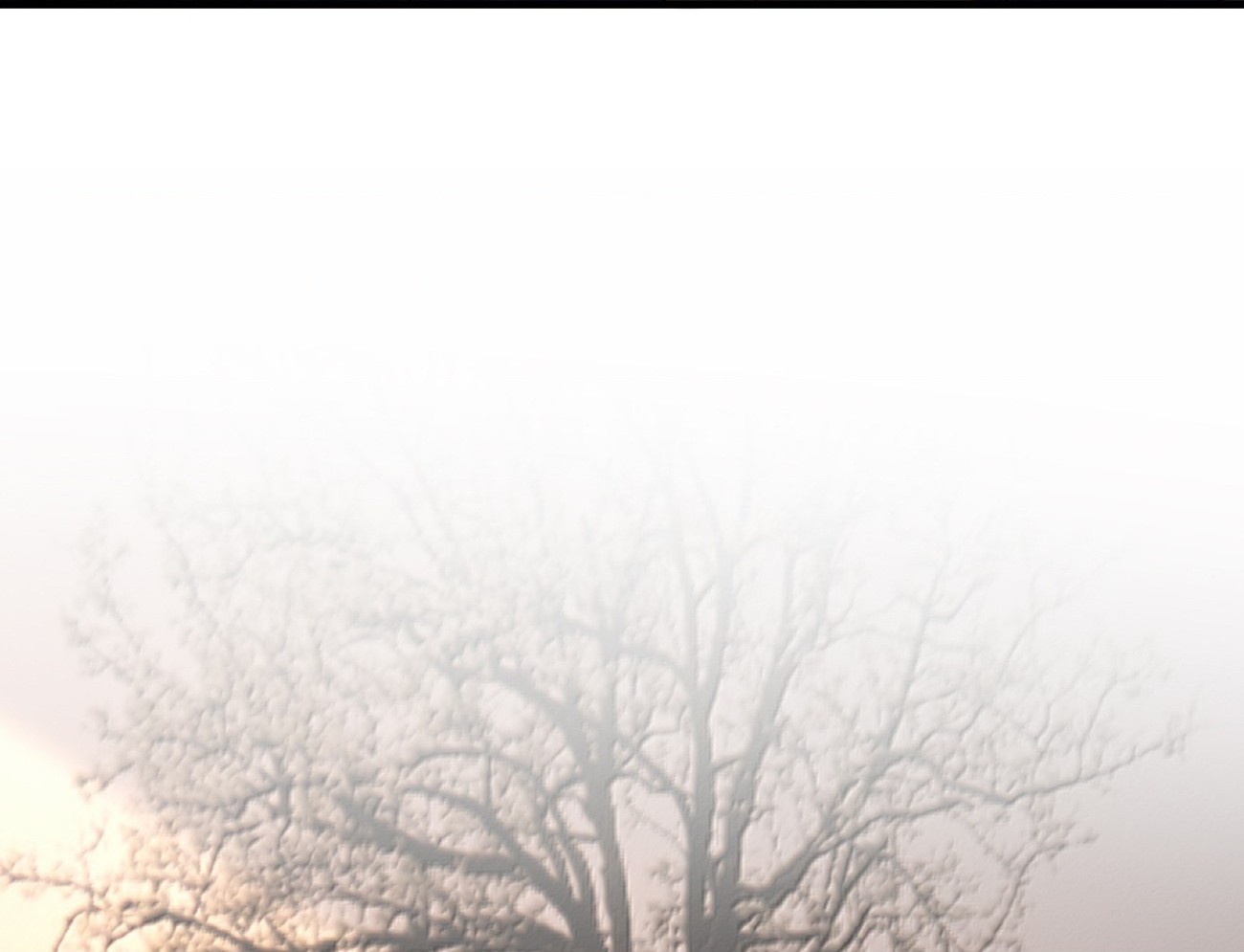 đọc truyện Người Tình Nguy Hiểm Chương 57 ảnh 7 tại Thiên Thai Truyện