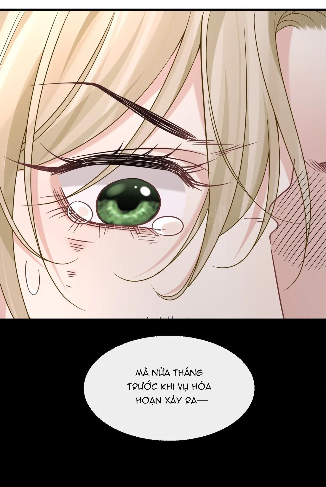 đọc truyện Người Tình Nguy Hiểm Chương 64 ảnh 30 tại Thiên Thai Truyện