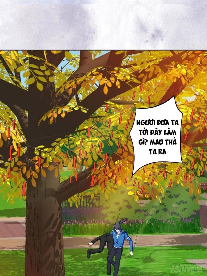 đọc truyện Người Tu Tiên Tại Đô Thị Chương 52 ảnh 3 tại Thiên Thai Truyện