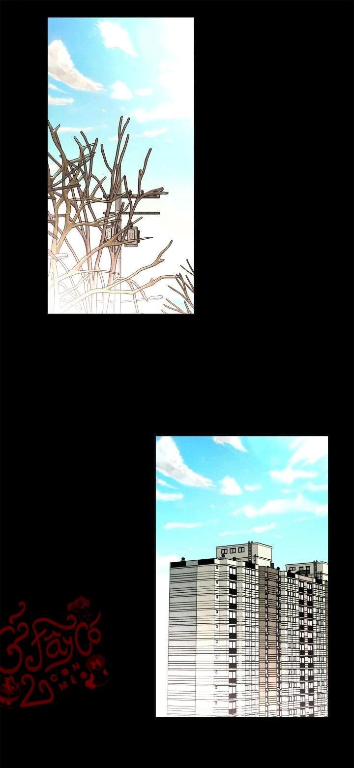 đọc truyện Người Yêu Của Anh Trai Tôi Chương 49 ảnh 12 tại Thiên Thai Truyện