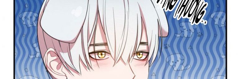 đọc truyện Nguyện Là Thanh Kiếm Trung Thành Bảo Vệ Em Chương 30 ảnh 161 tại Thiên Thai Truyện