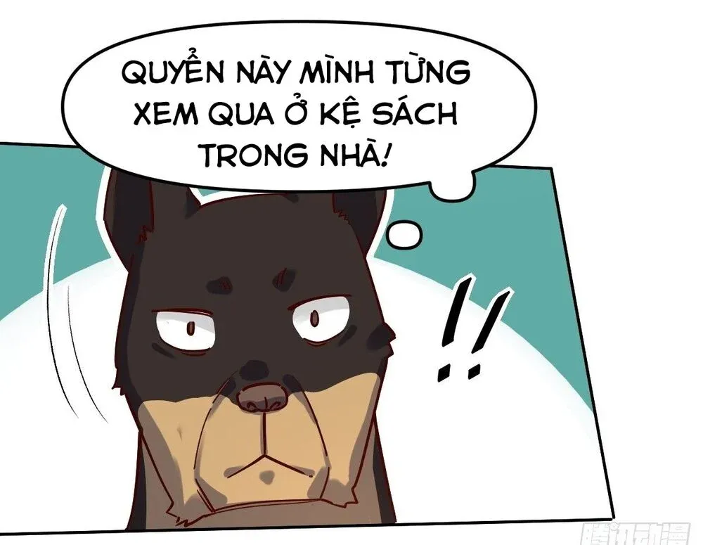 đọc truyện Nguyên Lai Ta Là Tu Tiên Đại Lão Chương 14 ảnh 20 tại Truyện Dạ Ký